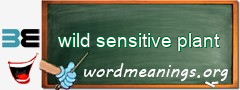 WordMeaning blackboard for wild sensitive plant